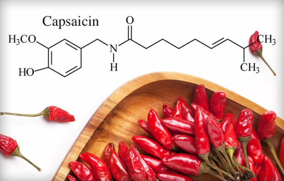 capsaisin-661f98030beaf.png